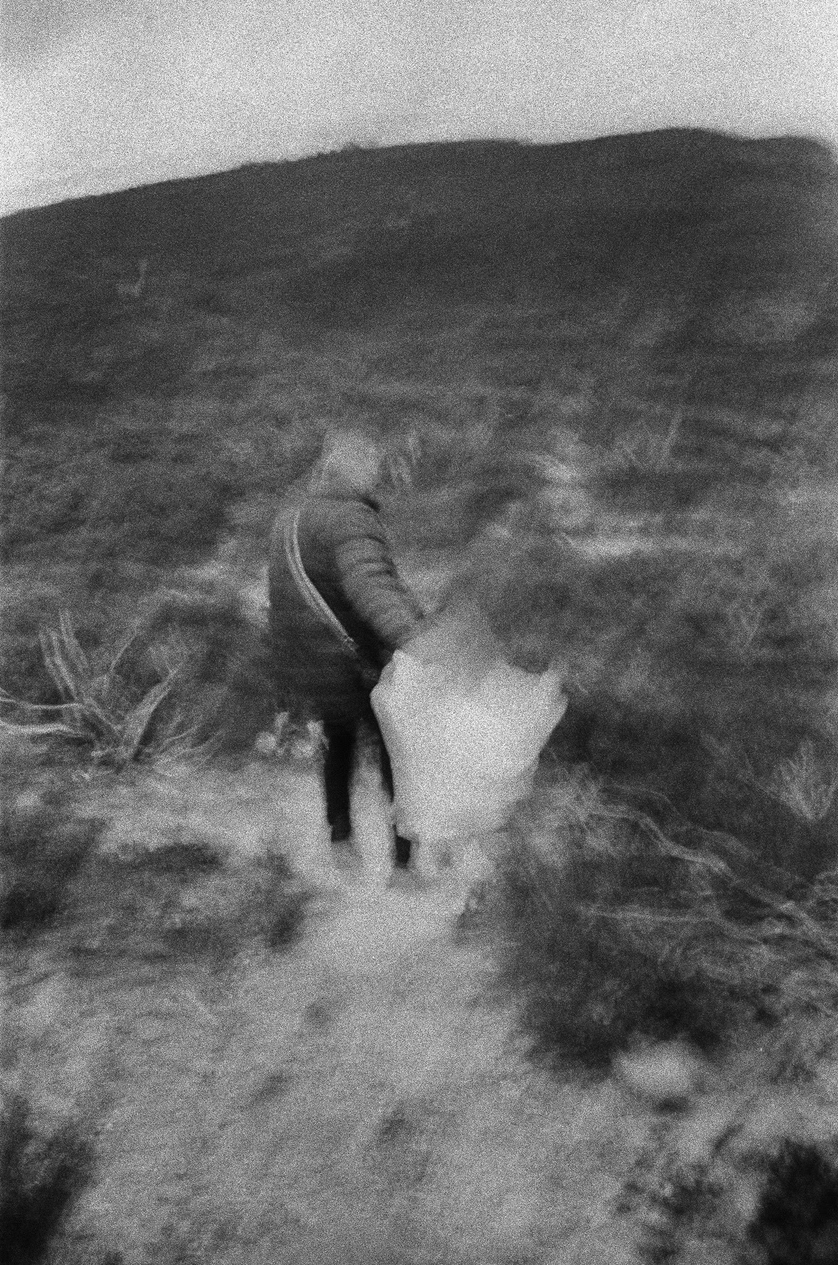 Josh withers and his daughter Luna in the Blue Mountains. Photographed on film.