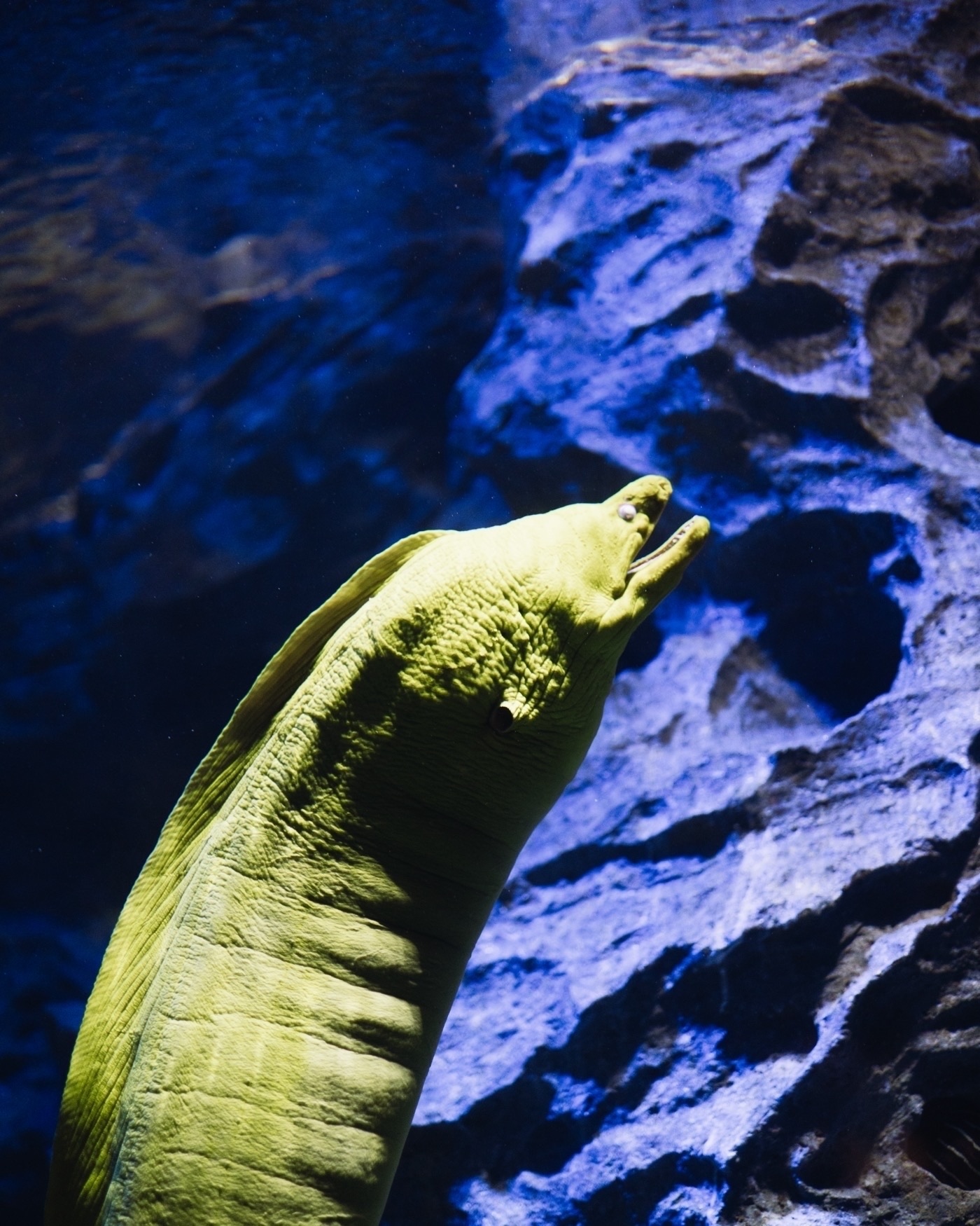 Frames from Singapore from the Withers trip 2023