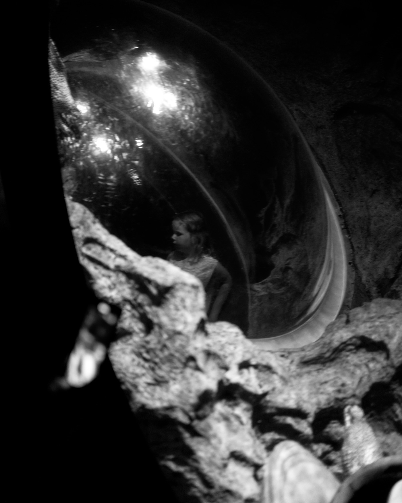 Frames from Singapore from the Withers trip 2023